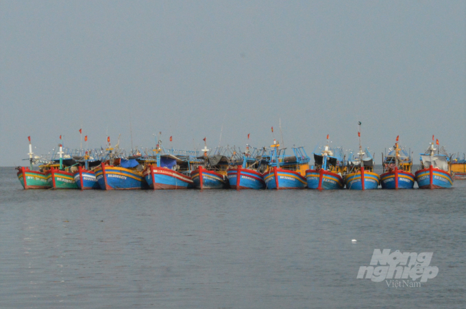 Kiên Giang sẽ giảm dần số lượng tàu khai thác, nhất là tàu nhỏ khai thác ven bờ, chuyển sang phát triển nuôi biển bền vững. Ảnh: Trung Chánh.