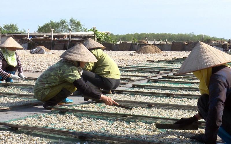 Phát triển kinh tế biển vùng nam đồng bằng sông Hồng -0