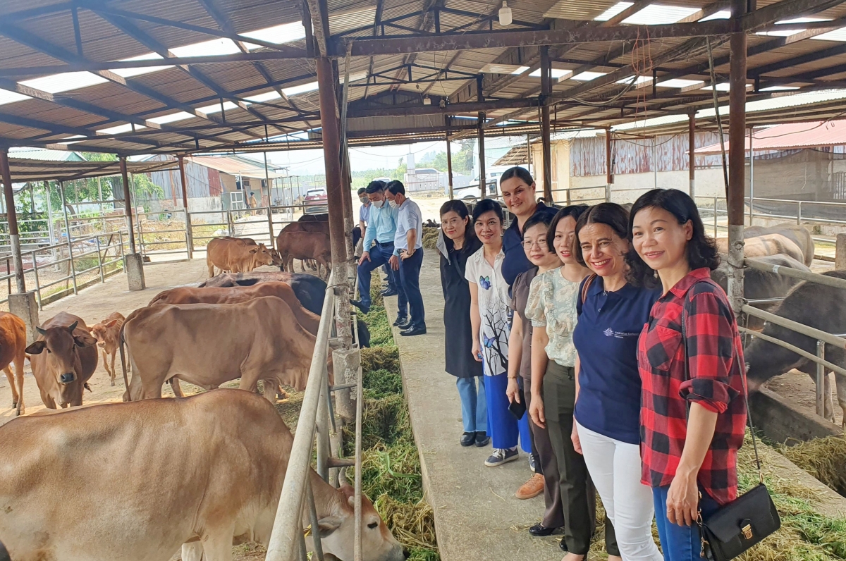 Đoàn công tác của Đại sứ quán Australia tại Việt Nam đến thăm Trung tâm Khuyến nông - Giống cây trồng, vật nuôi tỉnh Điện Biên