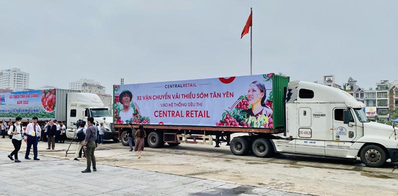 Central Retail cam kết tiêu thụ khoảng 1.000 tấn vải thiều Bắc Giang -0
