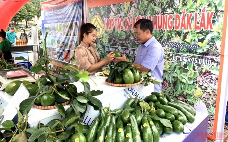 Một gian hàng trưng bày, giới thiệu trái bơ Đắk Lắk tại hội nghị.