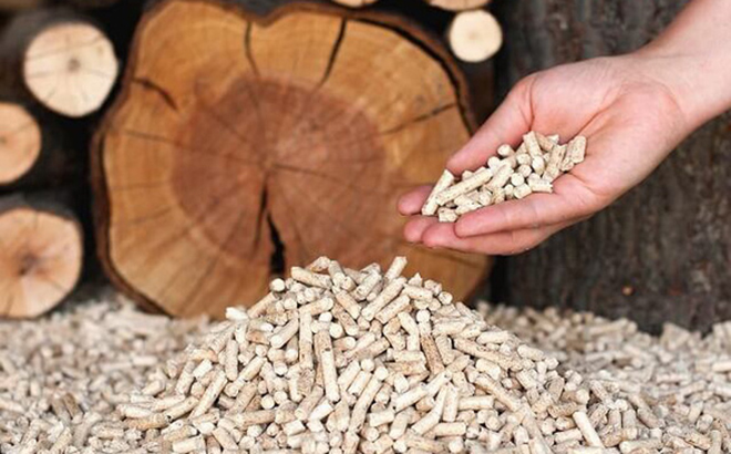 Giá xuất khẩu viên nén gỗ tăng gấp đôi.