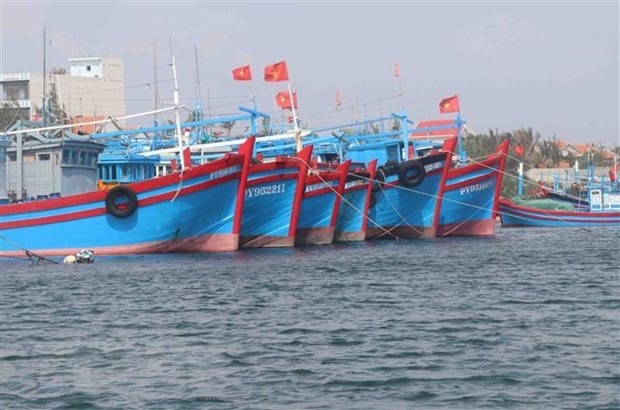 Khac phuc 'the vang' IUU: Doan EC se kiem tra tai cac dia phuong hinh anh 1