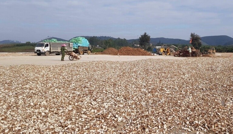 Việt Nam sở hữu 'vựa lúa dưới lòng đất' được Nam Á đổ tiền thu mua hàng nghìn tấn: xuất khẩu tăng hơn 100%, Trung Quốc rốt ráo săn lùng- Ảnh 1.